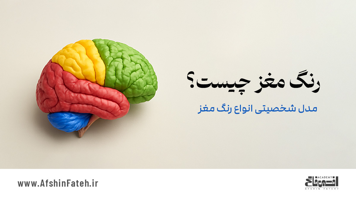 رنگ مغز چیست؟